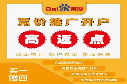 百度广告推广案例：助力企业快速成长